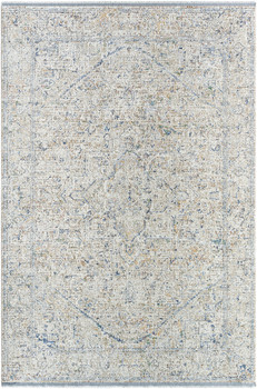 Surya Rivaldo RVD-2307 Traditional Machine Woven Area Rugs