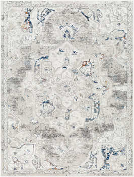 Livabliss Soldado SOD-2304  Machine Woven Area Rugs