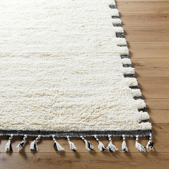 Surya Mirela MMI-2304  Hand Woven Area Rugs