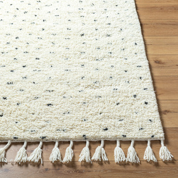 Surya Mirela MMI-2305  Hand Woven Area Rugs