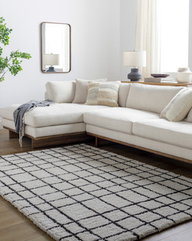 Surya Nicole NCO-2300  Hand Tufted Area Rugs