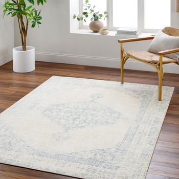 Surya Downtown DTW-2329  Machine Woven Area Rugs