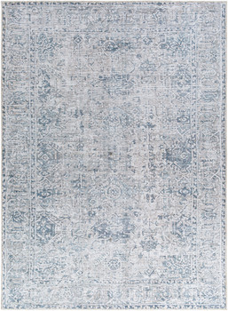 Surya Embrace EMA-2309  Machine Woven Area Rugs