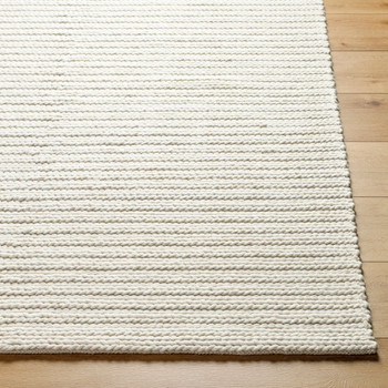 Surya Sundance SDC-2302  Hand Woven Area Rugs