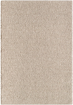 Surya Timbuktu TTU-2300 Modern Hand Woven Area Rugs