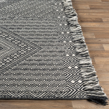 Livabliss Zanafi ZNF-2303  Hand Woven Area Rugs