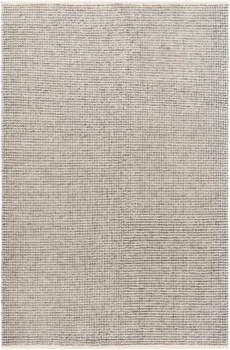 Livabliss Rebecca RBC-2305 Modern Hand Woven Area Rugs