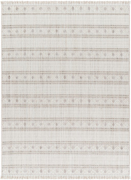 Surya New Delhi NWH-2307 Global Machine Woven Area Rugs