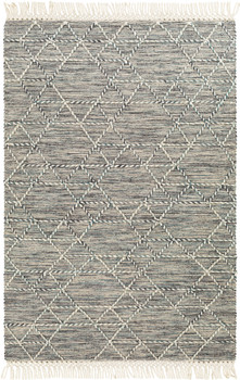 Livabliss Lucia LCI-2300 Cottage Hand Woven - 10' X 14' Rectangle Area Rug