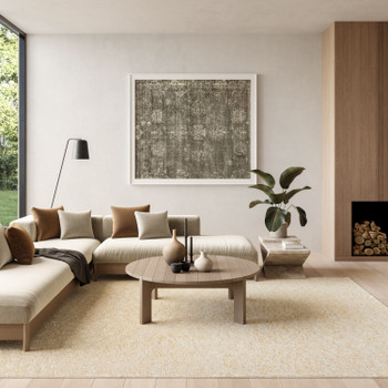 Nourison Ambiance AMI02 Ivory Gold Area Rugs