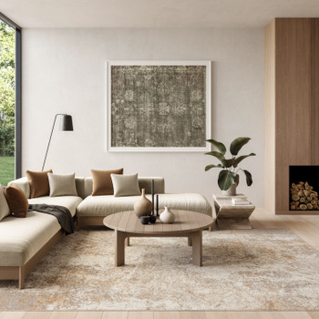 Nourison Ambiance AMI03 Ivory Silver Area Rugs
