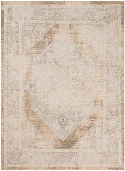 Nourison Astra Machine Washable ASW13 Beige Area Rugs