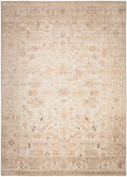Nourison Vintage Washables VWS17 Beige Area Rugs