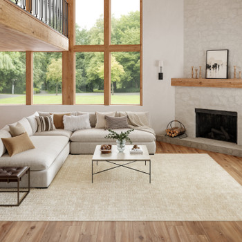 Nourison Washable Charm WCH02 Ivory Area Rugs