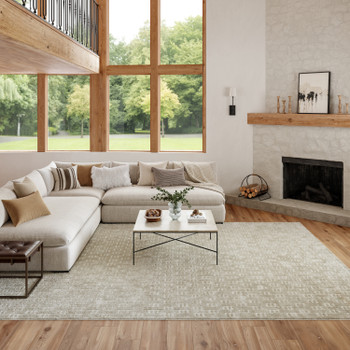 Nourison Washable Charm WCH02 Silver Ivory Area Rugs