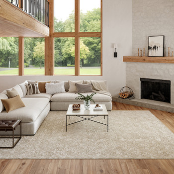 Nourison Washable Charm WCH03 Silver Ivory Area Rugs