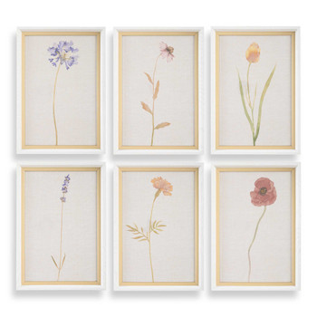 Uttermost Wild Flourish Framed Floral Prints Set/6