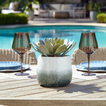 Uttermost Dudleya Gray Outdoor Succulent