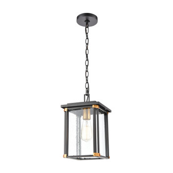 ELK Lighting Vincentown 1-Light Hanging - 46723/1