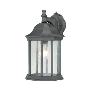 Thomas Lighting Hawthorne 1-Light Sconce - SL94527