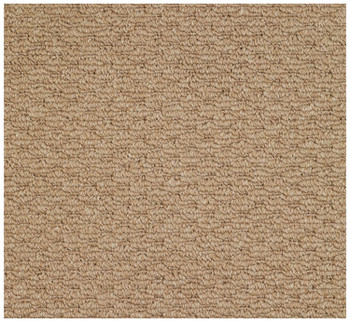 Capel Shoal Raffia No Color 1998_000 Machine Woven Rugs