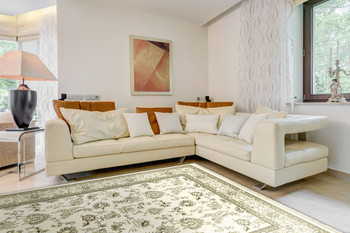 Dynamic Brilliant Machine-made 7226 Ivory Area Rugs