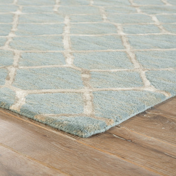 Jaipur Living Totten BL157 Trellis Blue Hand Tufted Area Rugs