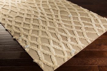 Livabliss Midelt MDT-1001 Modern Hand Woven Area Rugs