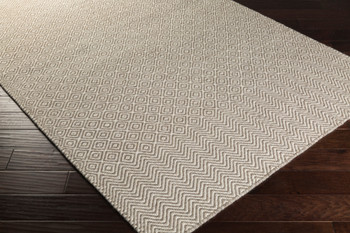 Livabliss Ravena RVN-3135 Modern Hand Woven Area Rugs