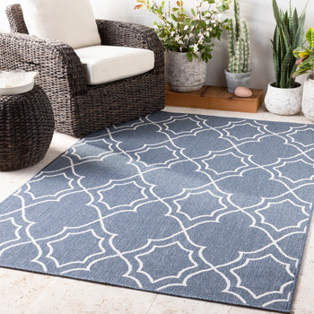 Livabliss Alfresco ALF-9650 Cottage Machine Woven Area Rugs