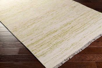 Livabliss Rex REX-4005 Modern Hand Woven Area Rugs