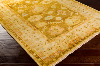 Livabliss Hillcrest HIL-9027 Traditional Hand Knotted Area Rugs