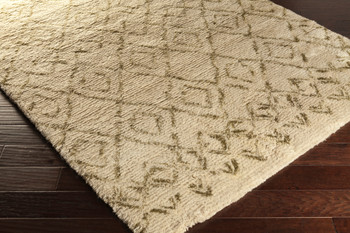 Livabliss Tasman TAS-4502 Global Hand Woven - 2' X 3' Rectangle Area Rug