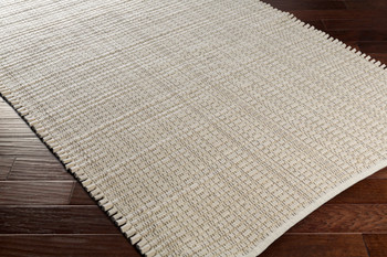 Livabliss Daniel DNL-3001 Modern Hand Woven Area Rugs