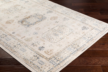 Livabliss Stonewashed SNW-2305 Traditional Machine Woven Area Rugs