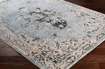 Livabliss Asia Minor ASM-2314 Traditional Machine Woven Area Rugs