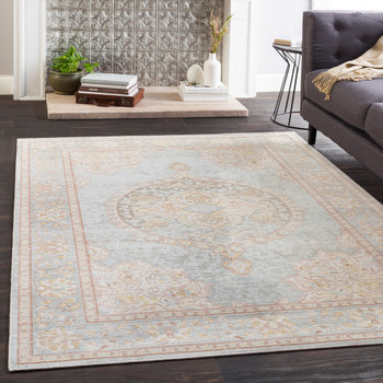 Livabliss Antioch AIC-2326 Traditional Machine Woven Area Rugs