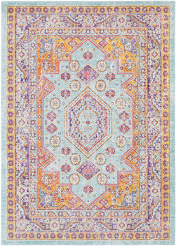 Surya Antioch AIC-2321 Traditional Machine Woven Area Rugs