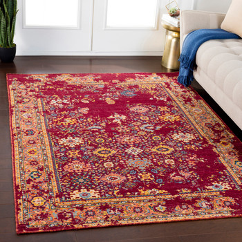 Surya Trailblazer TZR-1014 Traditional Machine Woven Area Rugs