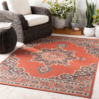 Livabliss Alfresco ALF-9672 Traditional Machine Woven Area Rugs
