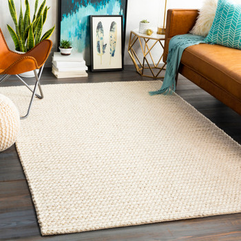 Livabliss Ozark OZK-2301 Modern Hand Woven Area Rugs