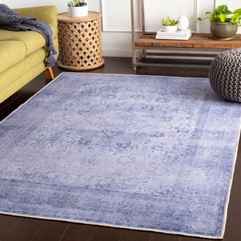 Livabliss Amelie AML-2304 Traditional Machine Woven Area Rugs