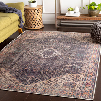 Livabliss Amelie AML-2307 Traditional Machine Woven Area Rugs