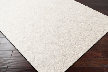 Livabliss Napels NPL-2303 Modern Hand Woven Area Rugs