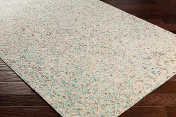 Livabliss Avon AVO-2304 Traditional Hand Tufted Area Rugs