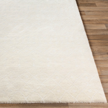Livabliss Casa CAA-2300 Modern Hand Knotted Area Rugs