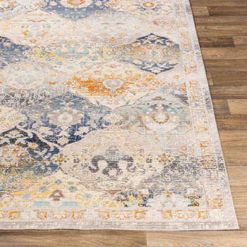 Livabliss Dublin DUB-2313 Traditional Machine Woven Area Rugs