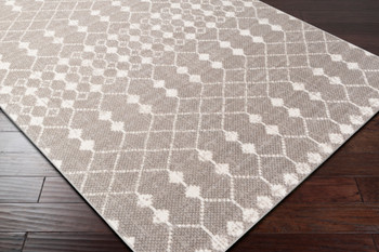 Surya Rafetus ETS-2355 Global Machine Woven Area Rugs