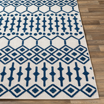 Livabliss Big Sur BSR-2308 Global Machine Woven Area Rugs