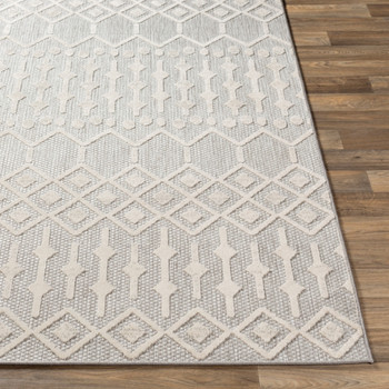 Livabliss Big Sur BSR-2310 Global Machine Woven Area Rugs